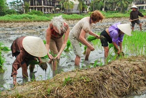 L'expérience d'être un agriculteur à Hoi An